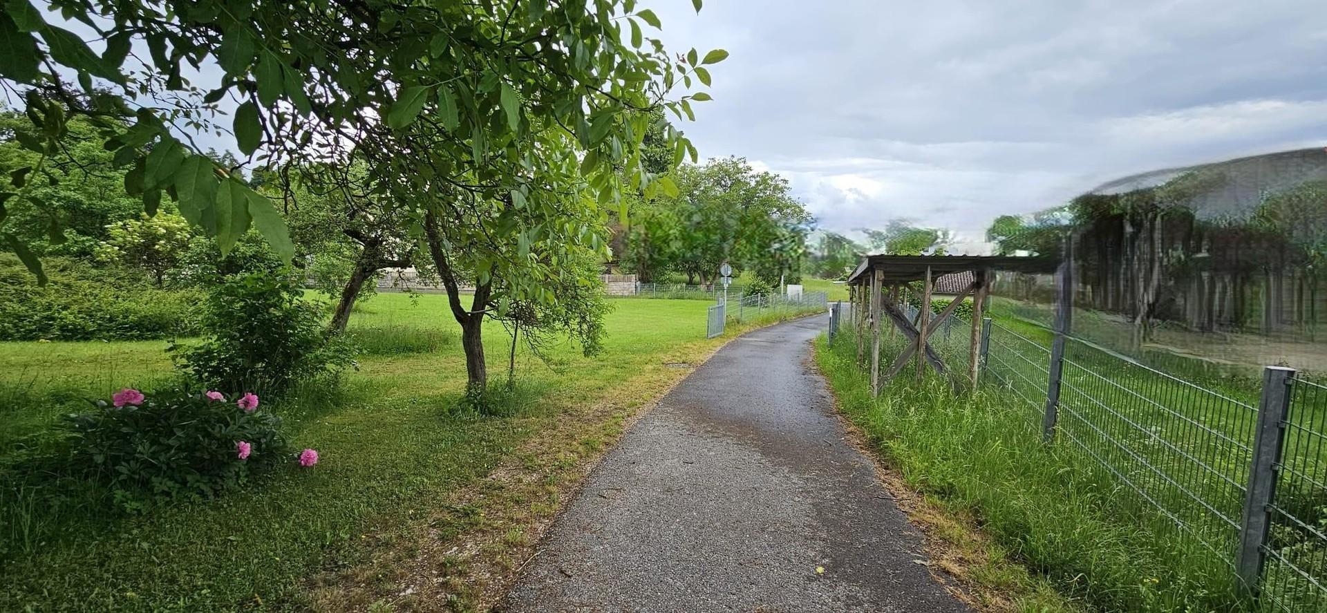 Teerstraße/Holzlager Ost