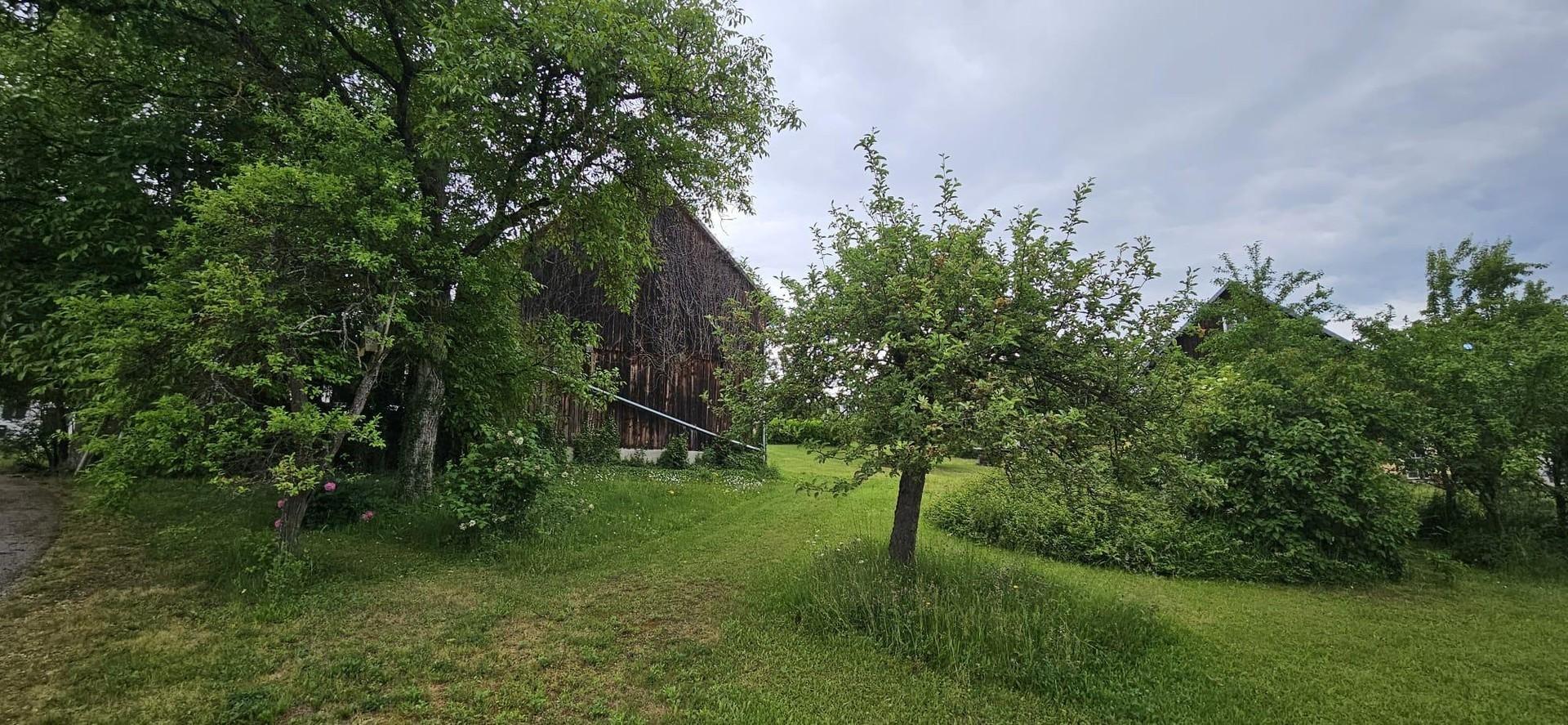 Garten/Wiese/Baugrund Ost