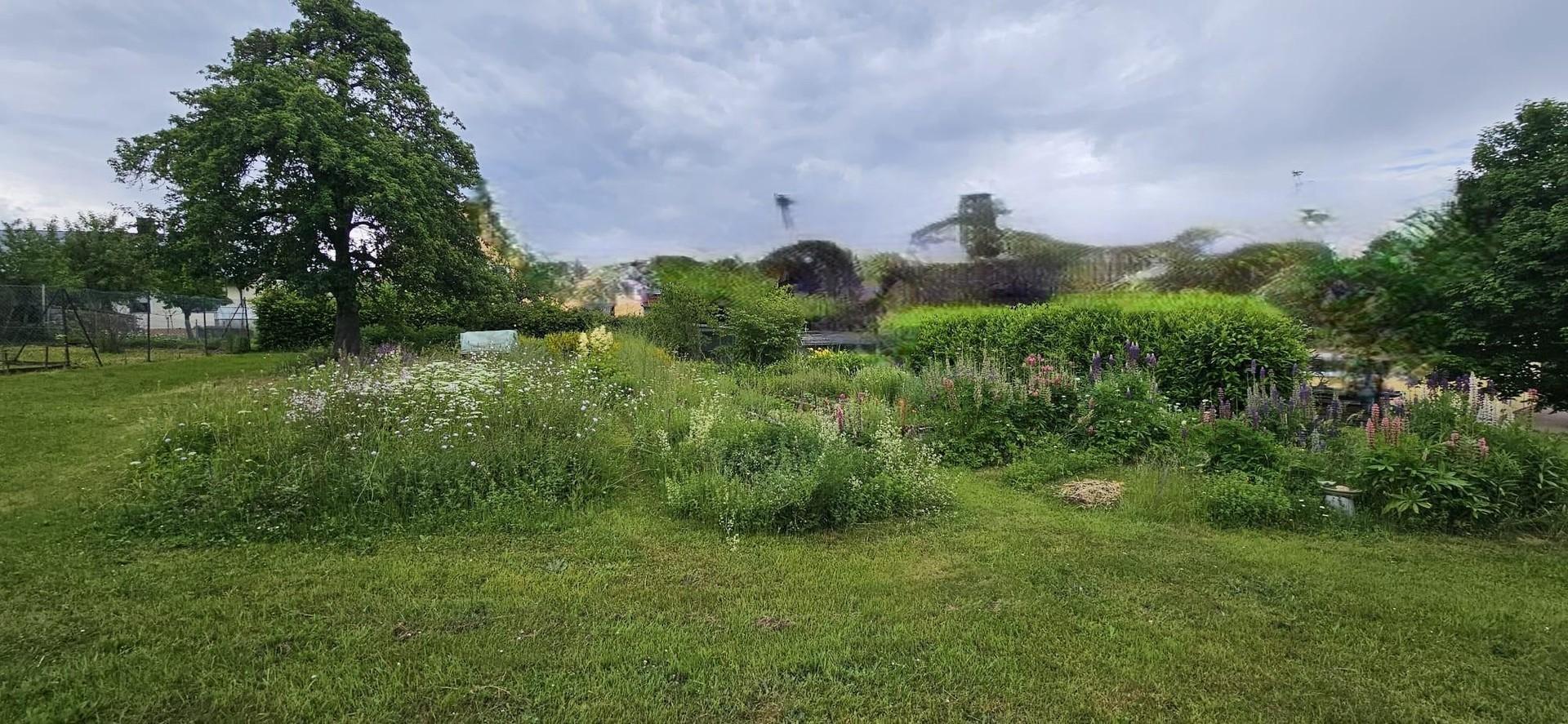 Gemüsegarten Nord