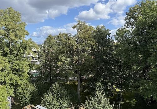 Blick in den Privatgarten