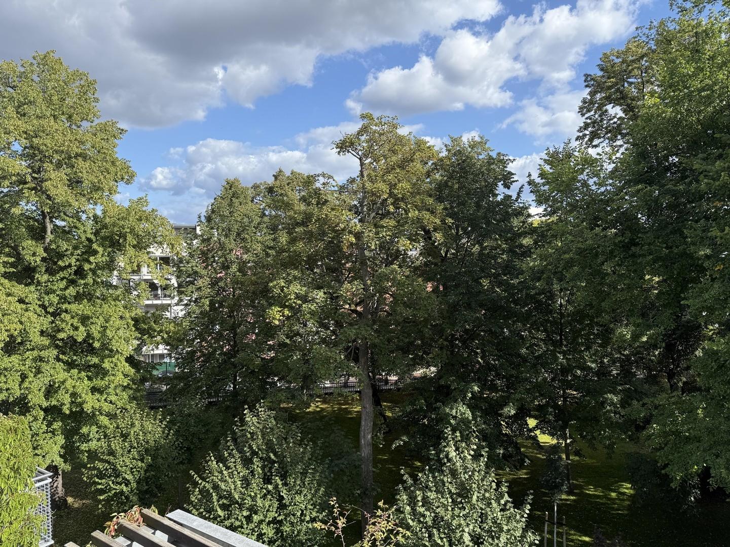 Blick in den Privatgarten