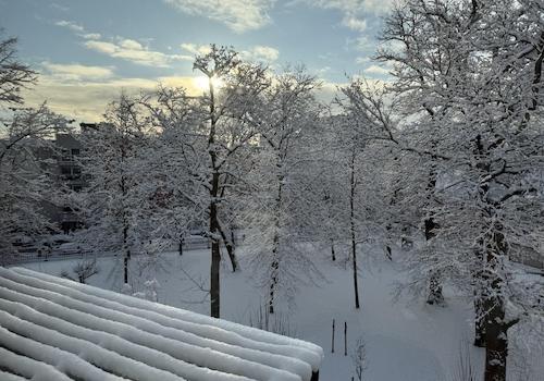 Blick in den Privatgarten