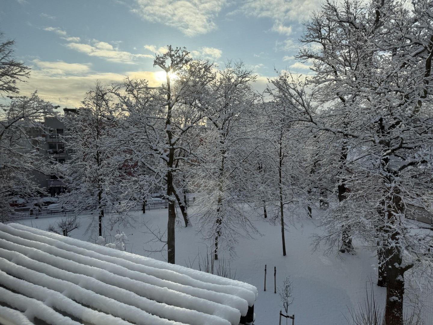 Blick in den Privatgarten