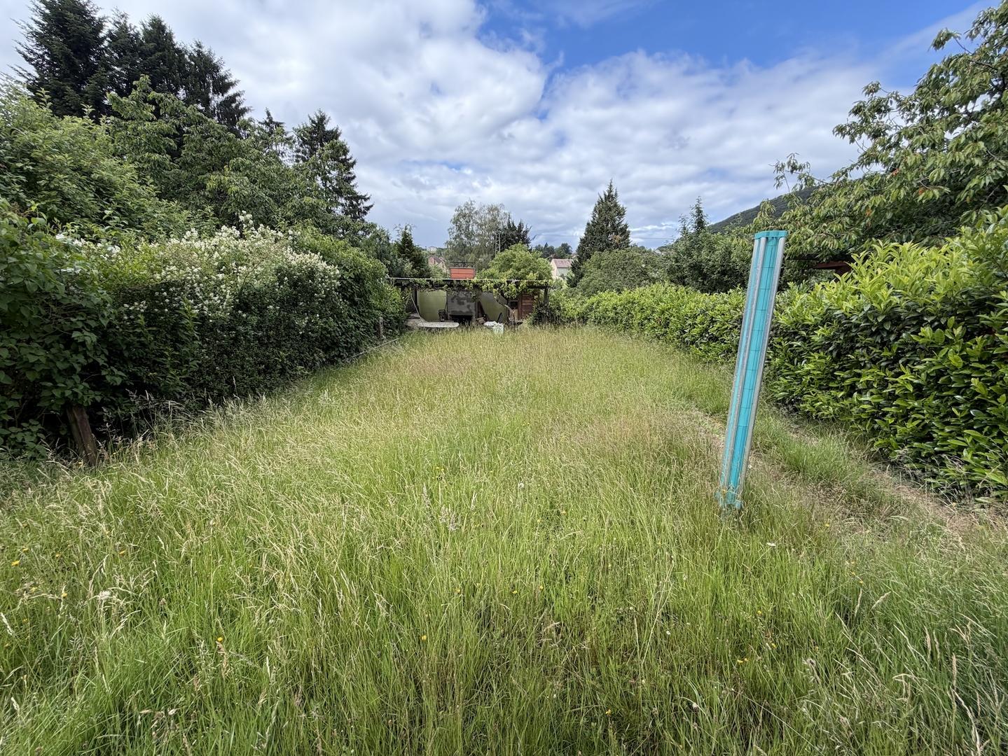 Garten 1