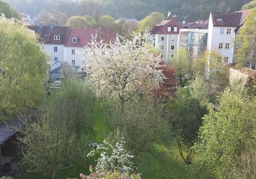 Blick ins Grüne