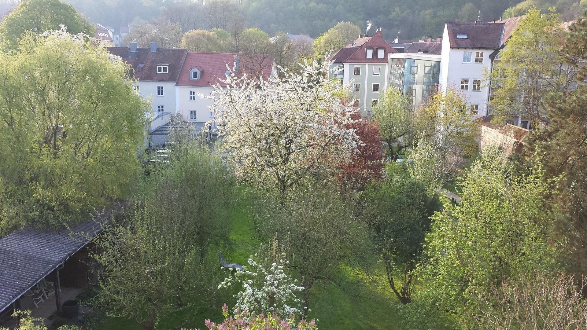 Blick ins Grüne