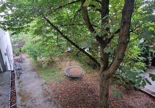 Blick in den Hof