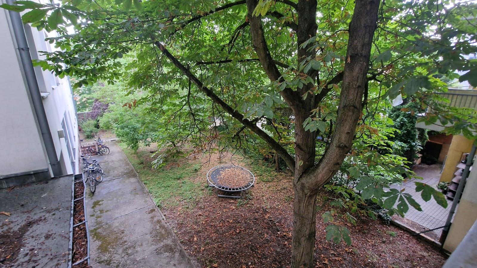Blick in den Hof