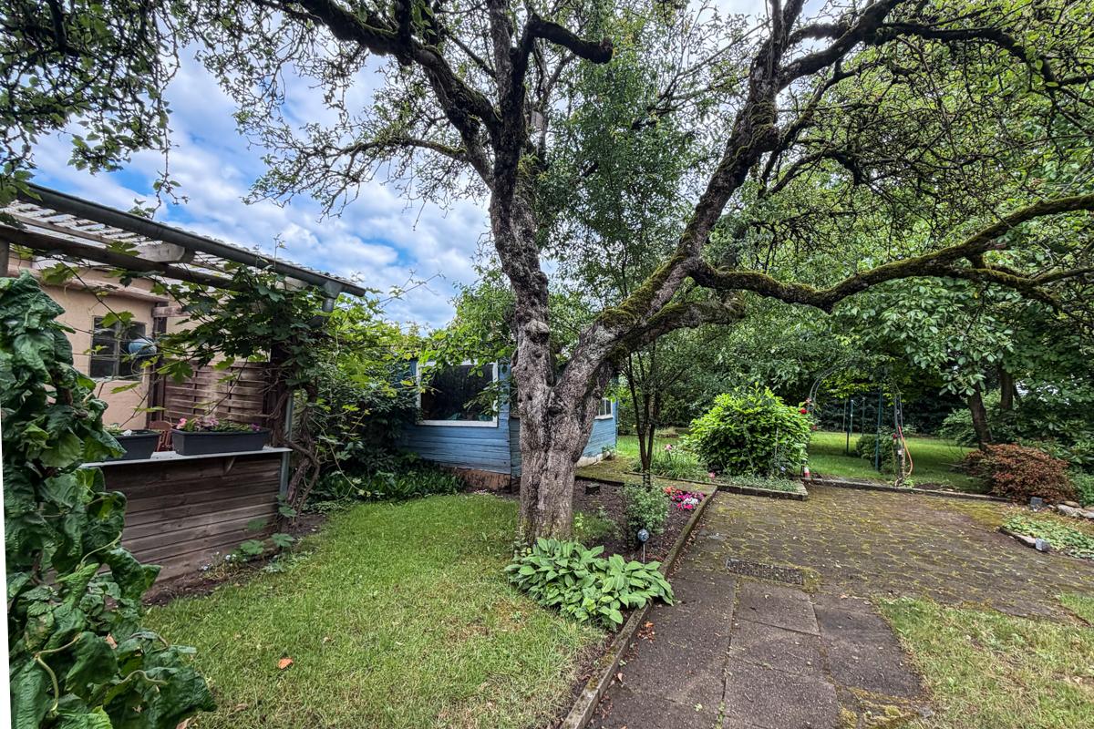 Garten mit historischem Apfelbaum