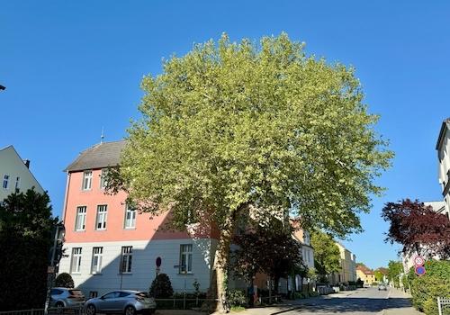 Straßenansicht
