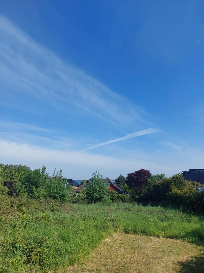 Blick aufs Grundstück