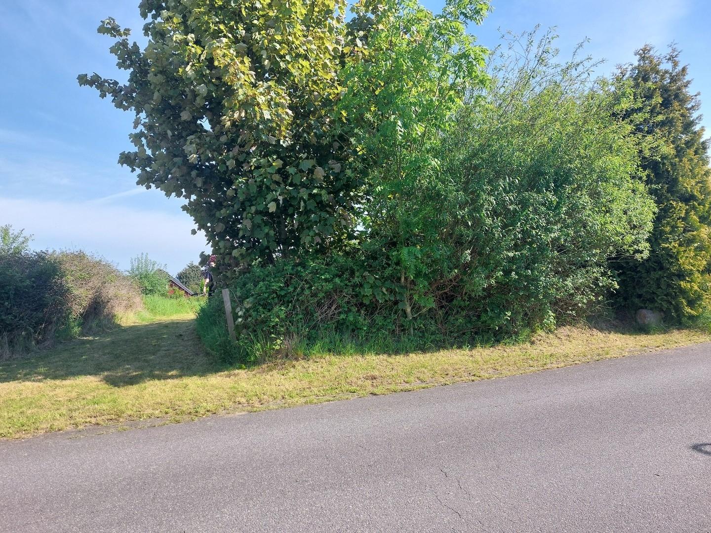 Sichtschutz zur Straße