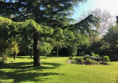Garten mit wertvollen Bäumen