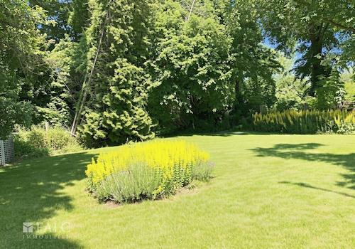 Garten 1