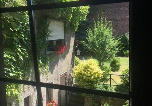 Blick in den Garten