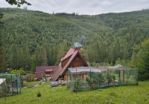 Ausblick vom Garten oben