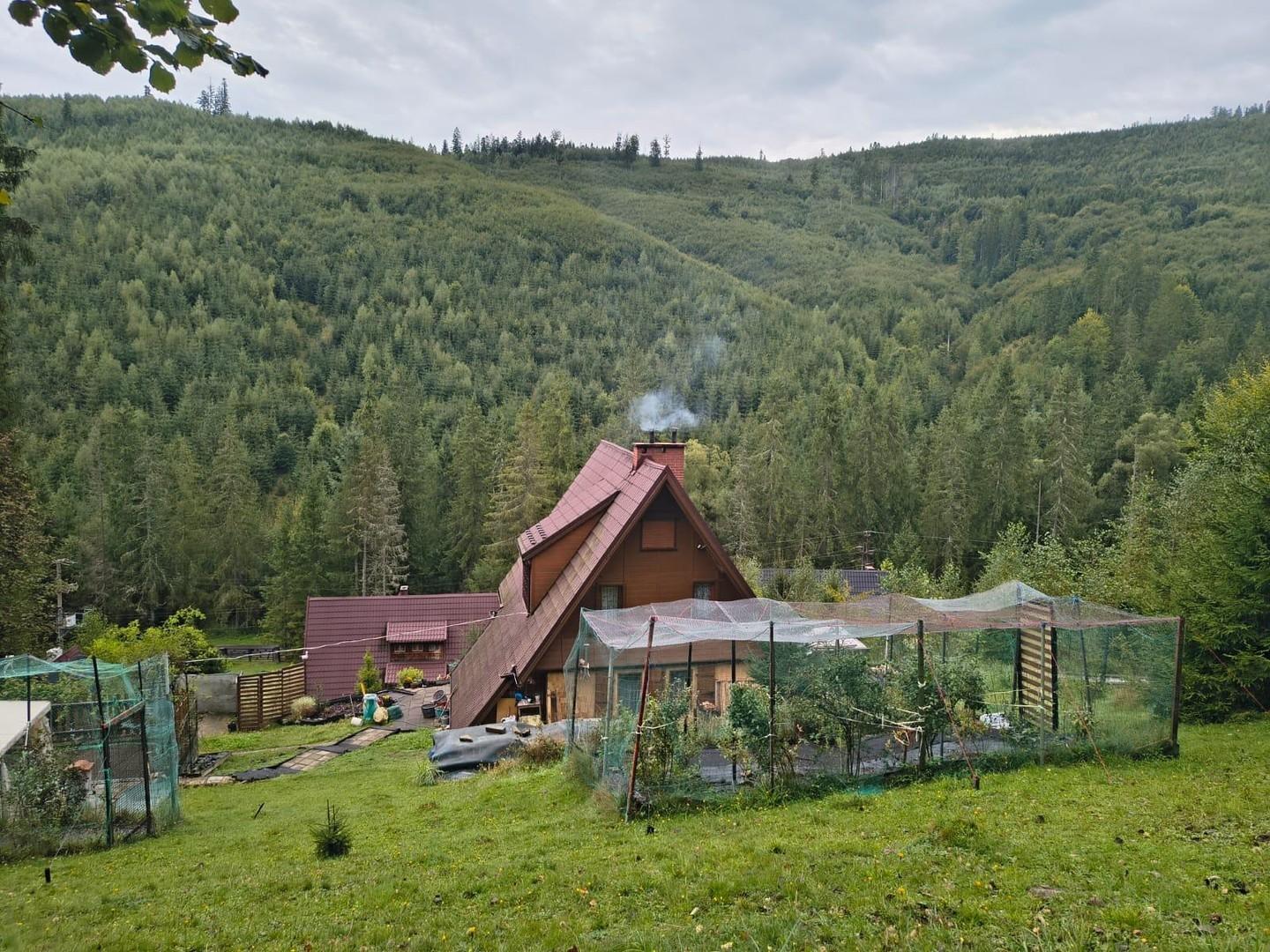 Ausblick vom Garten oben