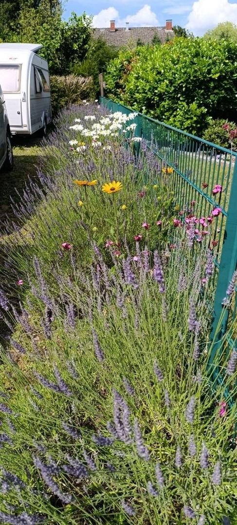 Einfahrt mit Blumen