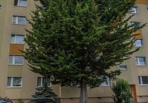 Stellplatz und Hausansicht