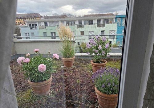 Dachterrasse Hinterseite