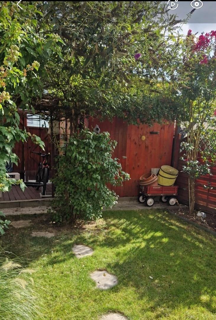 Garten_Haus_Pergola