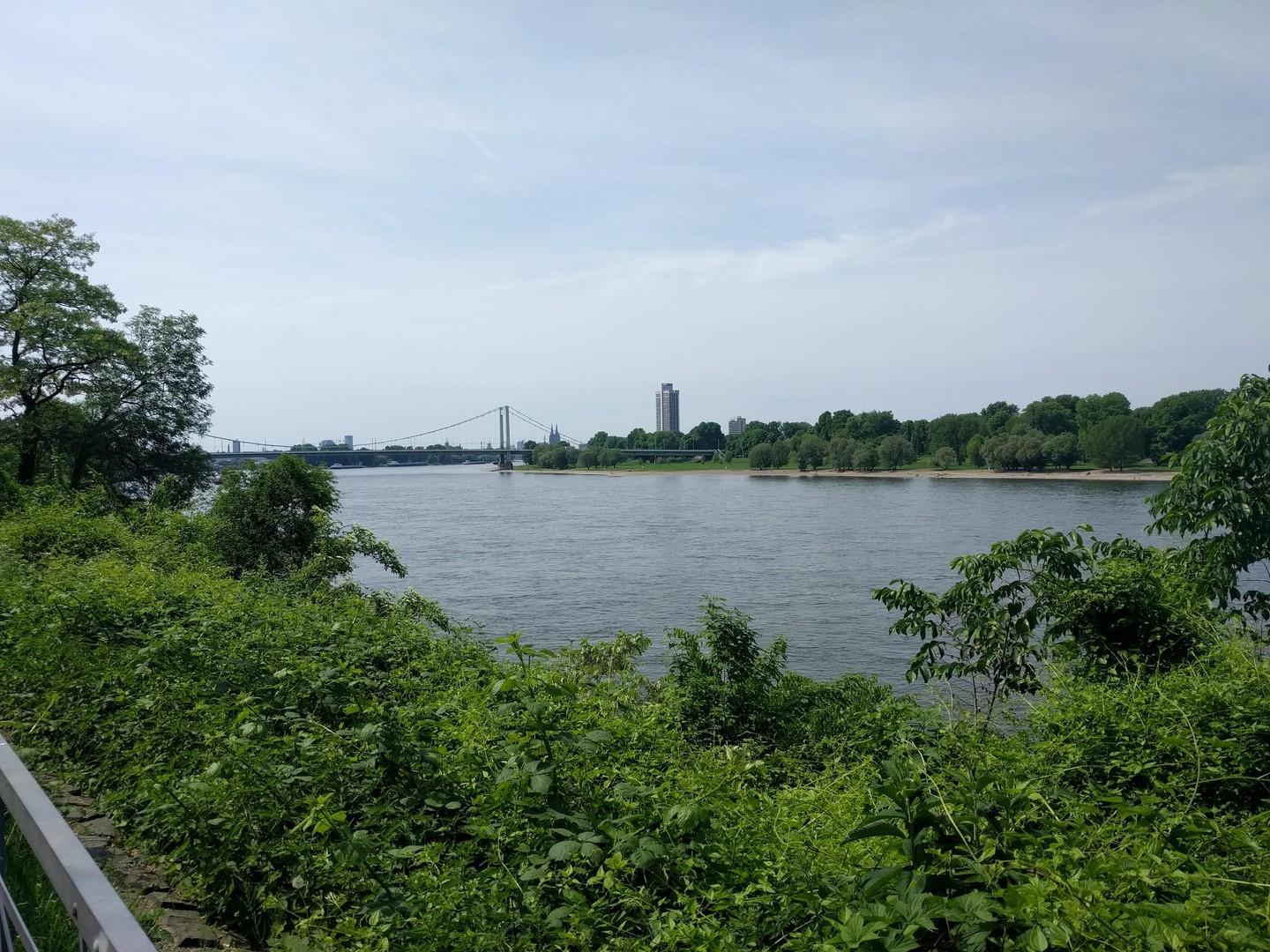 Rhein