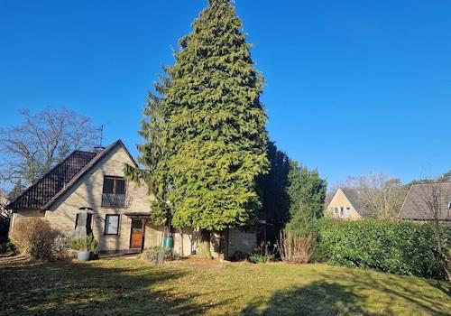 Gartenbereich