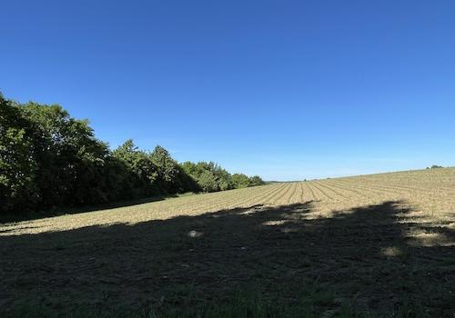 Ackerfläche