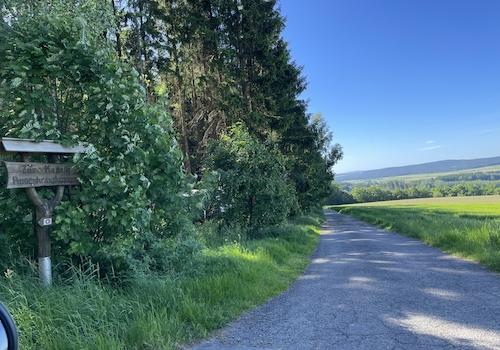 Einfahrt von der Straße zur Ackerfläche