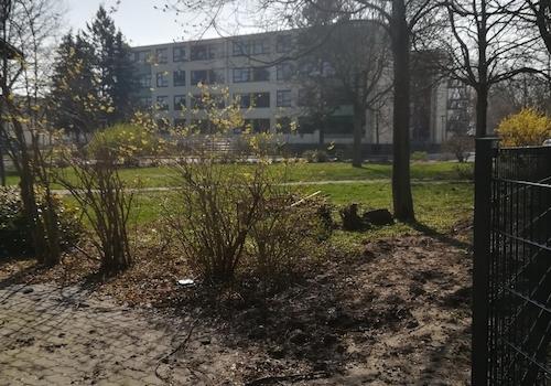 Schrägblick