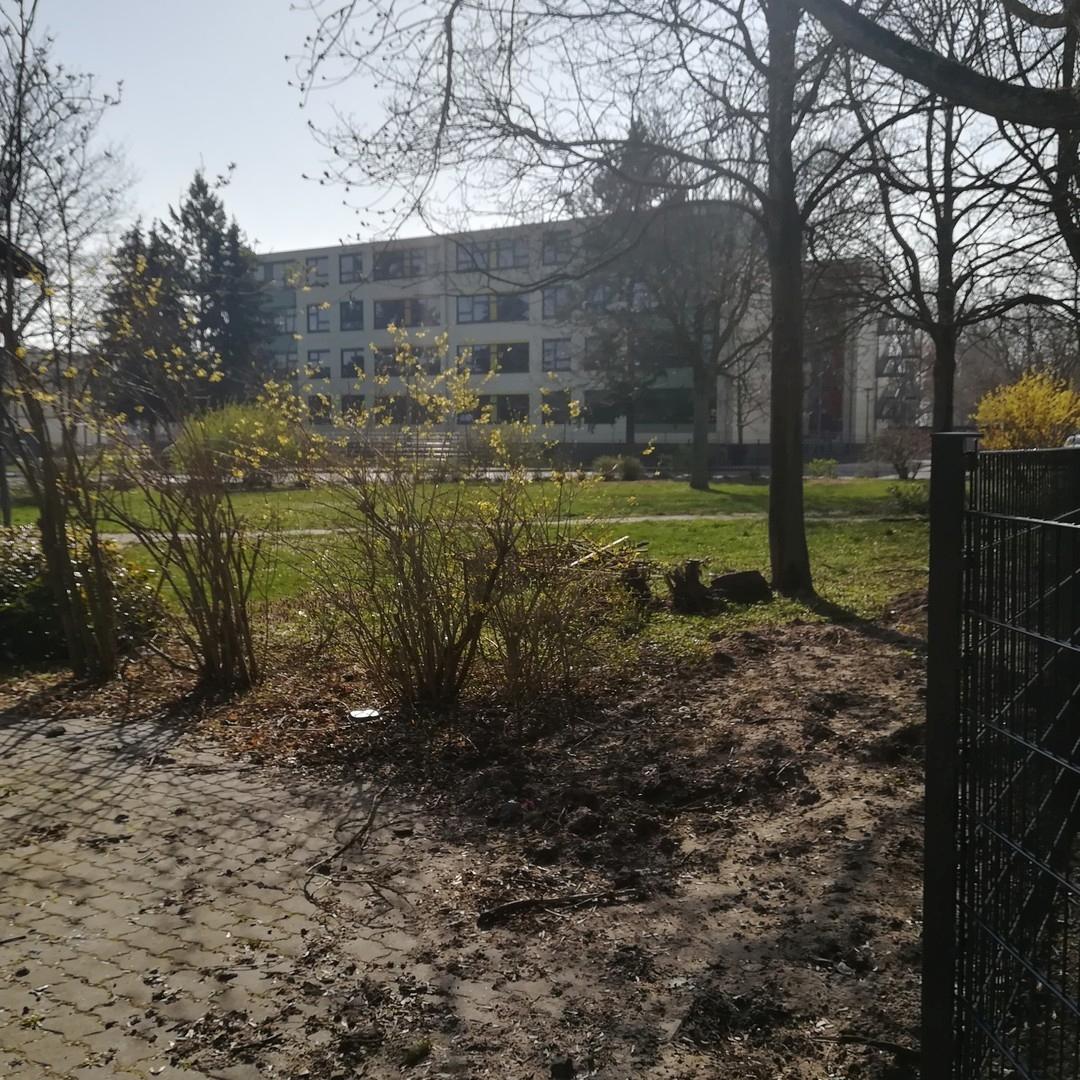 Schrägblick
