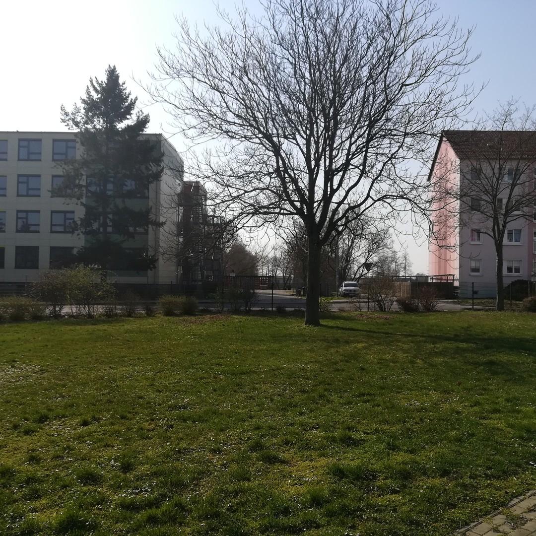 Esche (?) Süd