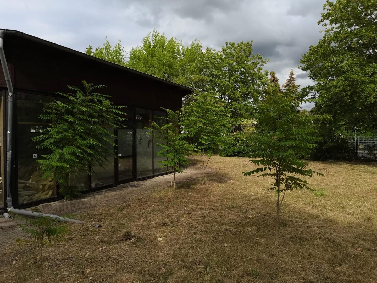 Südseite Pavillon