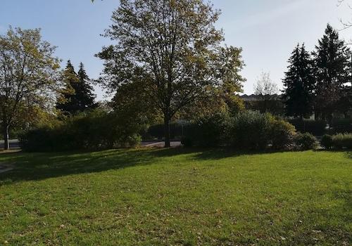Esche Richtung Schule