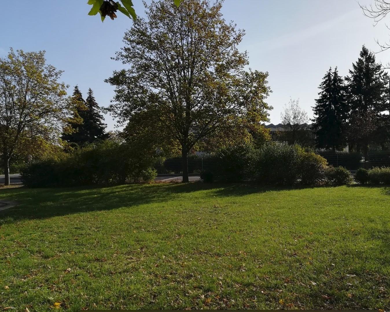 Esche Richtung Schule