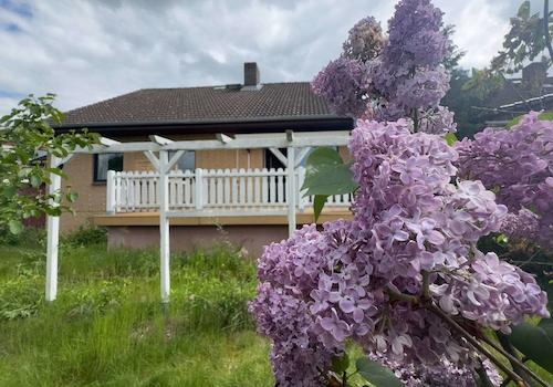 Blick vom Garten zur Terrasse