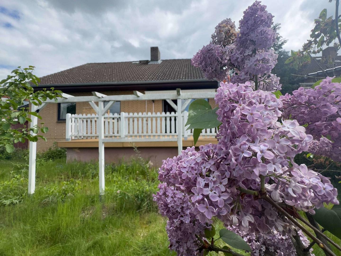 Blick vom Garten zur Terrasse