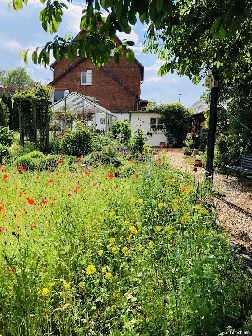 Blumenwiese
