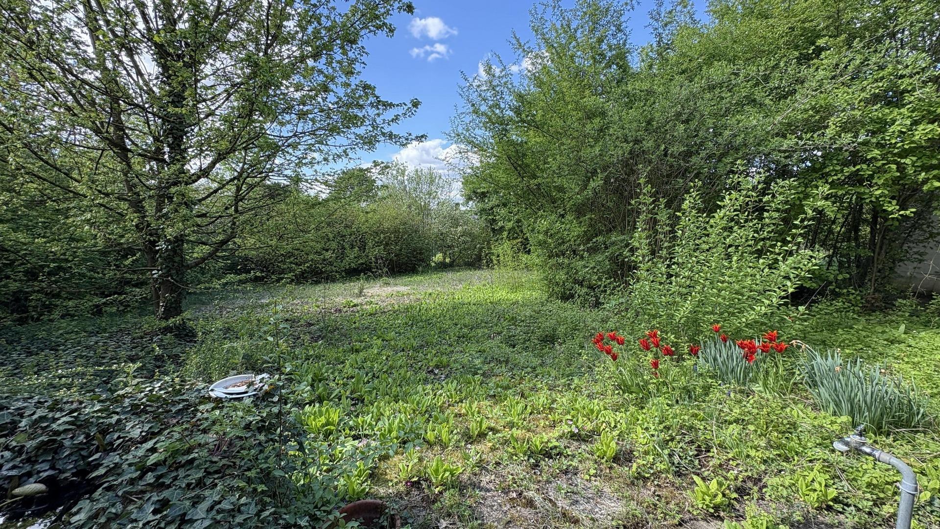 Herrlicher Garten