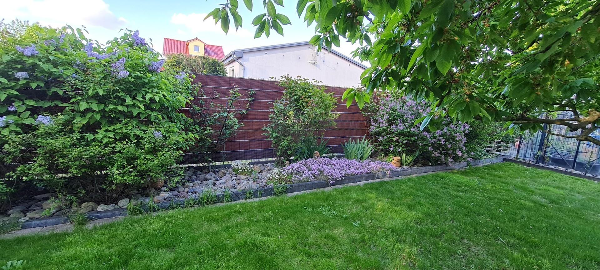 Teil des angelegten Garten