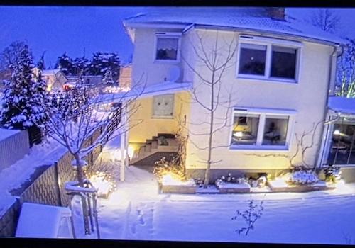 Winterschlaf