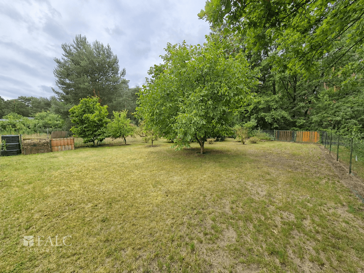 Garten hinten