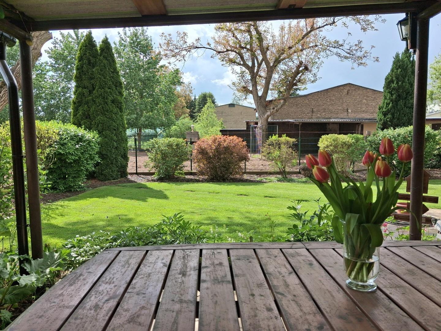 Ausblick v. Terrasse geradeaus