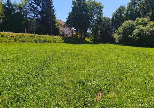 seperates Wiesengrundstück