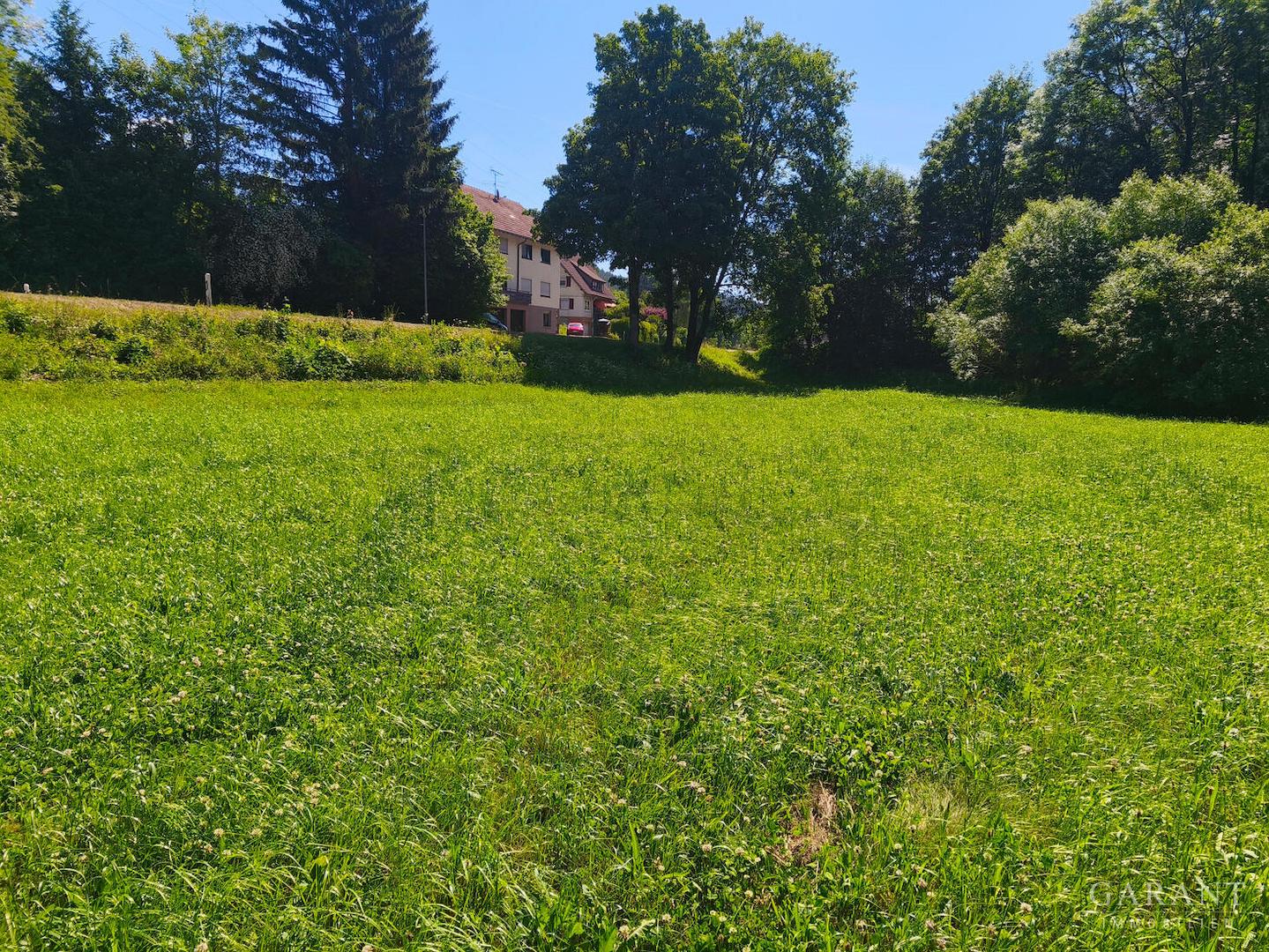 seperates Wiesengrundstück