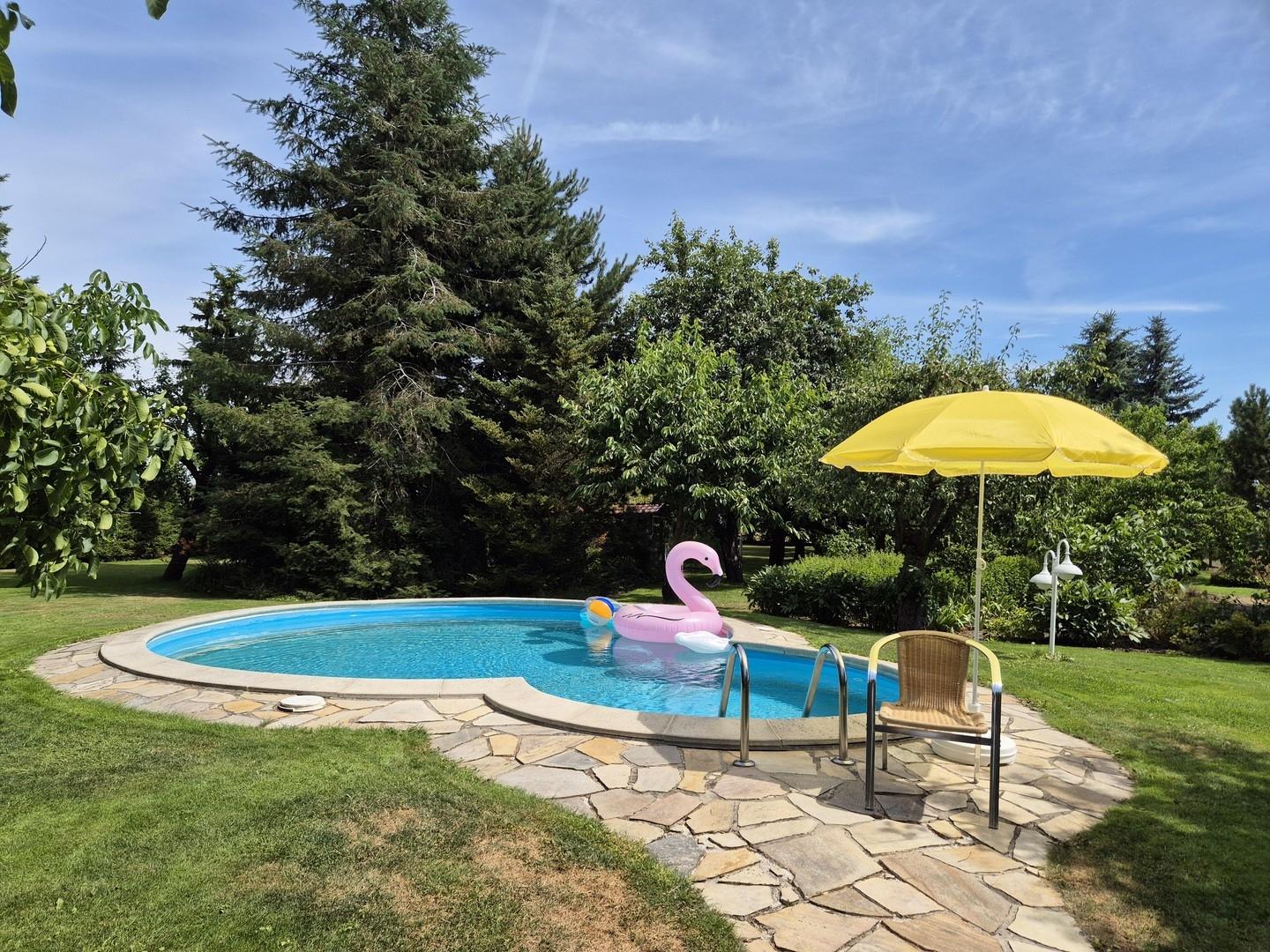 Blick in den Garten