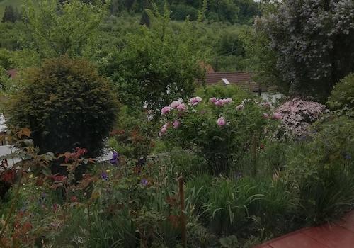 Terrassenrand mit Garten