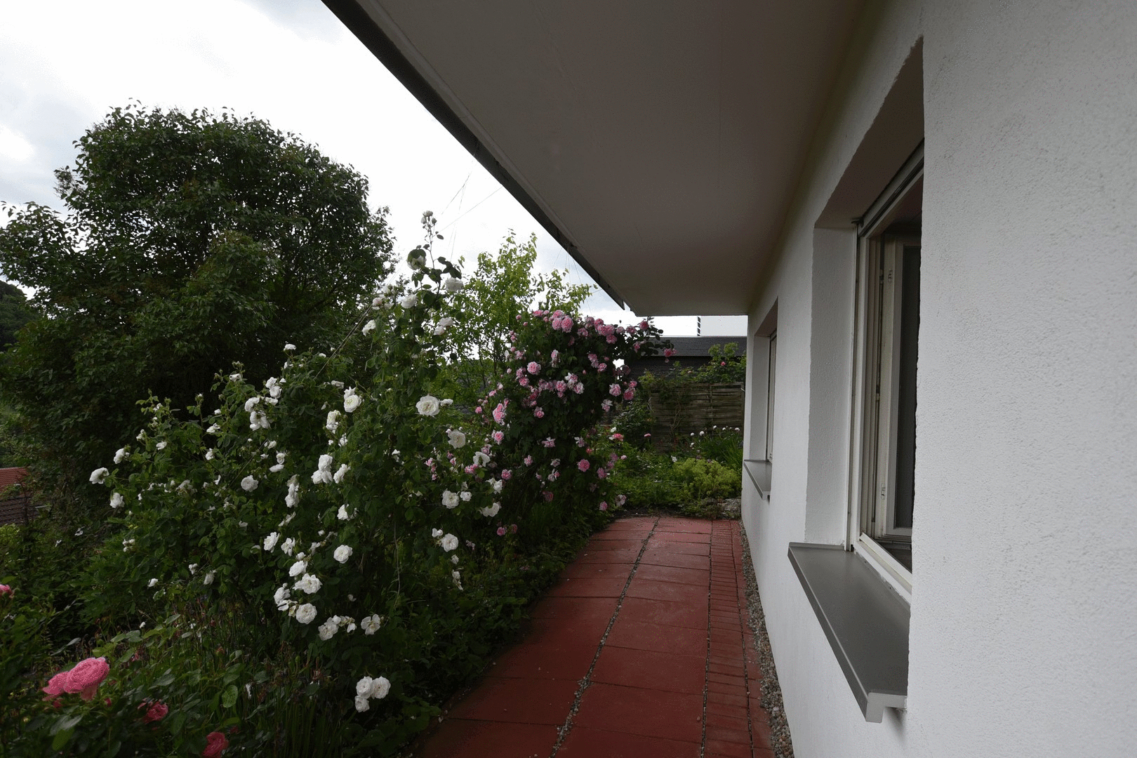 Terrasse zur Zeit