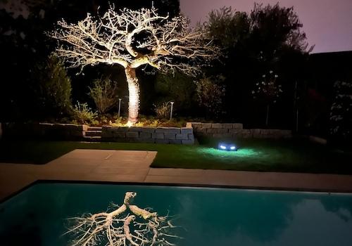 Garten bei Nacht