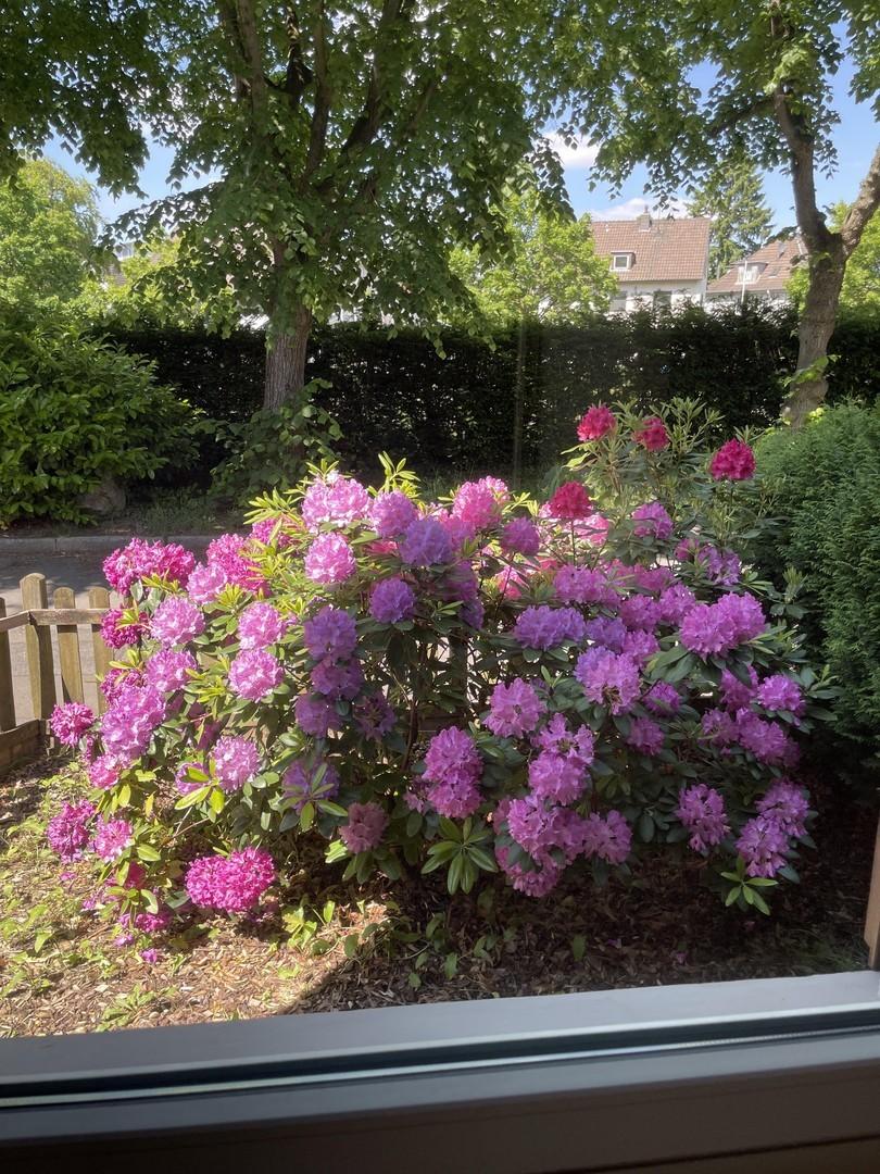 Vorgarten